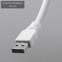 Светильник "Оланди" LED сенсорный 3000-6000К 5Вт USB 10х10х15см RISALUX