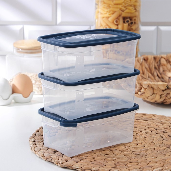 Набор прямоугольных контейнеров для замораживания продуктов «Морозко», 1 л , 3 шт, прозрачные, крышки микс Набор прямоугольных контейнеров для замораживания продуктов «Морозко», 1 л , 3 шт, прозрачные, крышки микс