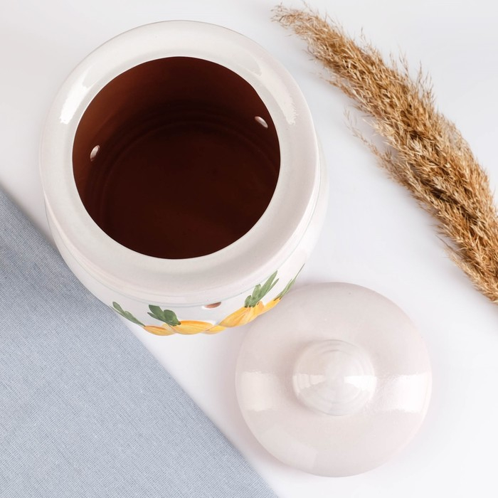 Банка для хранения лука  Банка для хранения лука "Глазурь" 4л