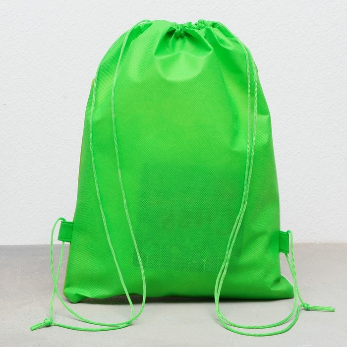 Мешок для обуви «Авокадо»  полиэстер, размер 30 х 40 см Мешок для обуви «Авокадо»  полиэстер, размер 30 х 40 см