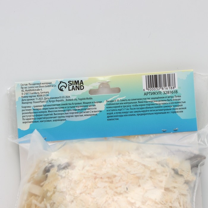 Георгина Декоративная "Хэтвейф", р-р I, 1 шт,