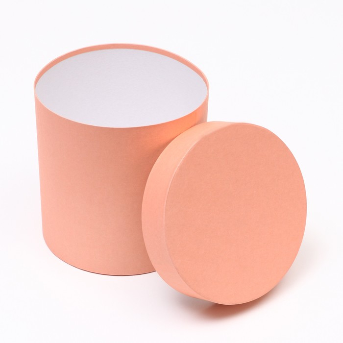 Набор круглых коробок 5 в 1 Набор круглых коробок 5 в 1 "Краски", персиковый, 25 х 25 х 25 - 19 х 19 х 19 см