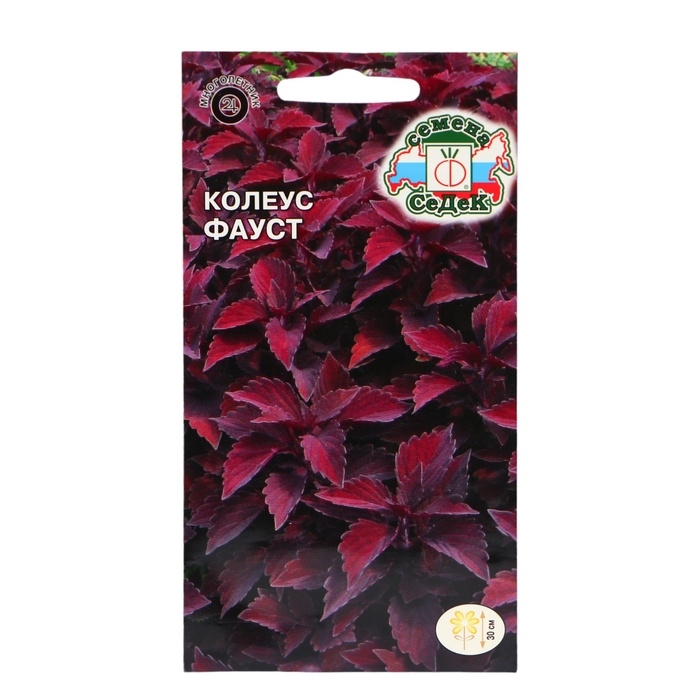Семена цветов Колеус  Семена цветов Колеус "Фаус", Евро, 0,1 г