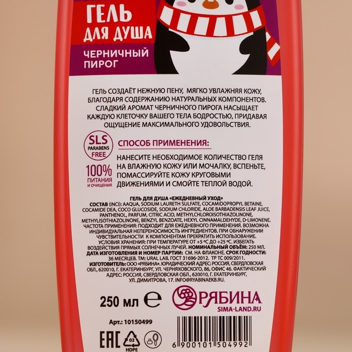 Гель для душа, 250 мл, аромат черничного пирога, Новый Год