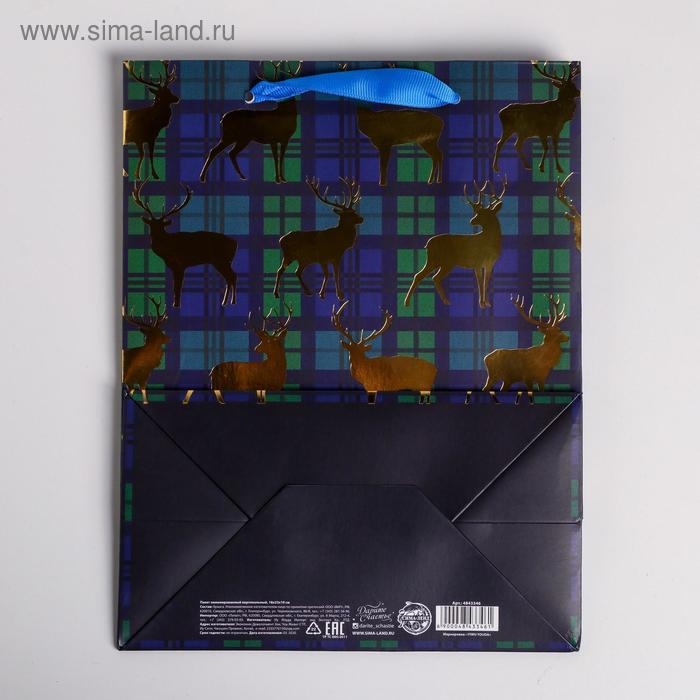 Пакет подарочный новогодний ламинированный &laquo;Стильный&raquo;, MS 18 х 23 х 10 см, Новый год