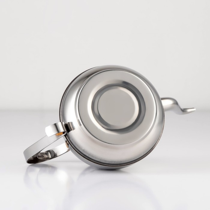 Чайник заварочный из нержавеющей стали «Леранс», 1,1 л, металлическое сито, цвет хромированный Чайник заварочный из нержавеющей стали «Леранс», 1,1 л, металлическое сито, цвет хромированный