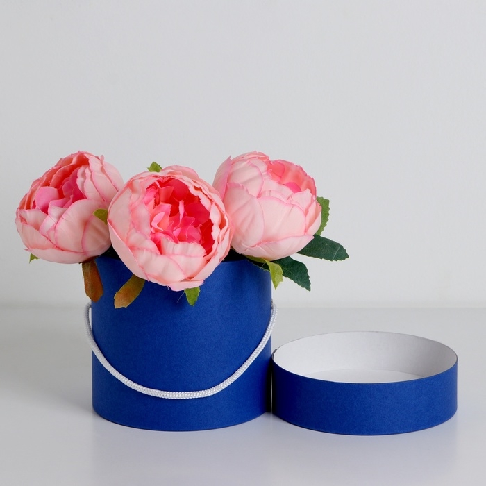 Подарочная коробка, круглая, синяя,с шнурком, 12 х 12 см Подарочная коробка, круглая, синяя,с шнурком, 12 х 12 см