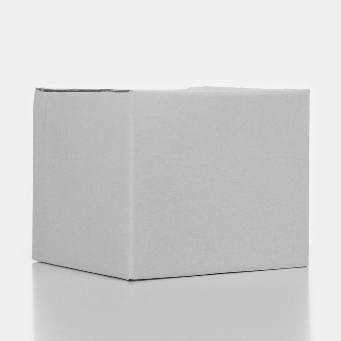 Чайник стеклянный заварочный с металлическим ситом «Калиопа», 250 мл, 15×8×9 см