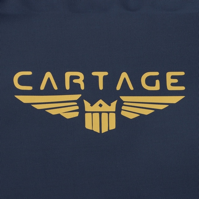 Термосумка Cartage Т-24, темно-синяя, 30 л Термосумка Cartage Т-24, темно-синяя, 30 л
