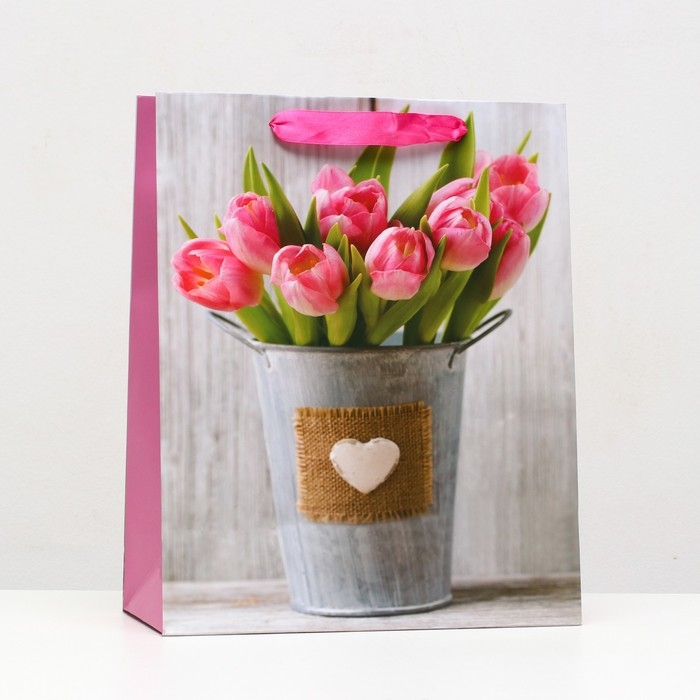 Пакет ламинированный, 26 x 32 x 12 см Пакет ламинированный, 26 x 32 x 12 см