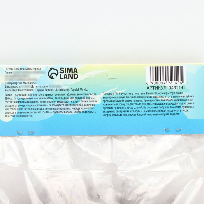 Лилия Азиатская Кашпо Лилия Азиатская Кашпо "Trendy Santo Domingo", р-р 12/14, 2 шт,