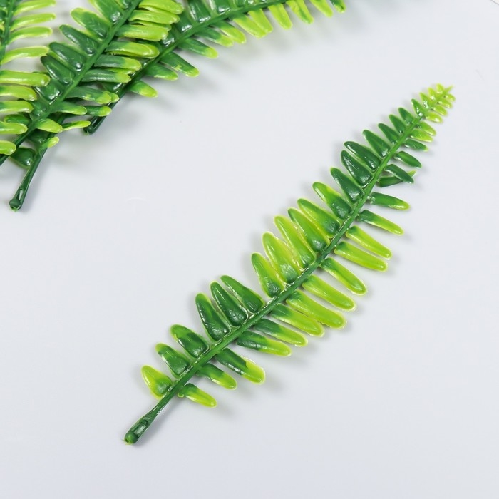 Декор для творчества Декор для творчества "Лист нефролеписа" набор 5 шт зелёный 16 см