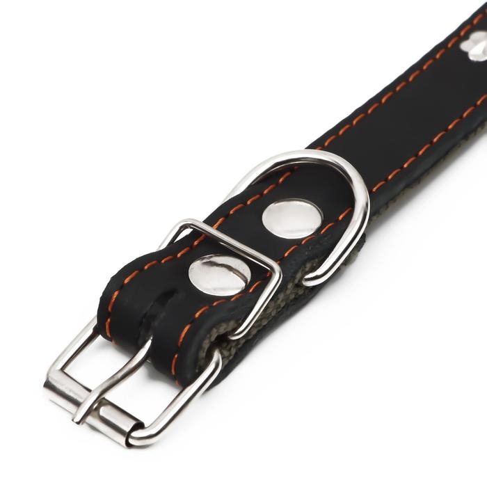 Ошейник комбинированный кожа/брезент, 54 х 2,5 см, украшенный, ОШ 35-45 см, черный Ошейник комбинированный кожа/брезент, 54 х 2,5 см, украшенный, ОШ 35-45 см, черный