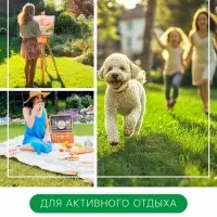 Газонная травосмесь &laquo;Детский&raquo; 1 кг