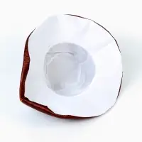 Карнавальный набор "Гриб-боровик" шапка, жилетка Карнавальный набор "Гриб-боровик" шапка, жилетка