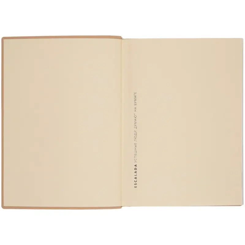 Ежедневник Anaconda, недатированный, золотистый