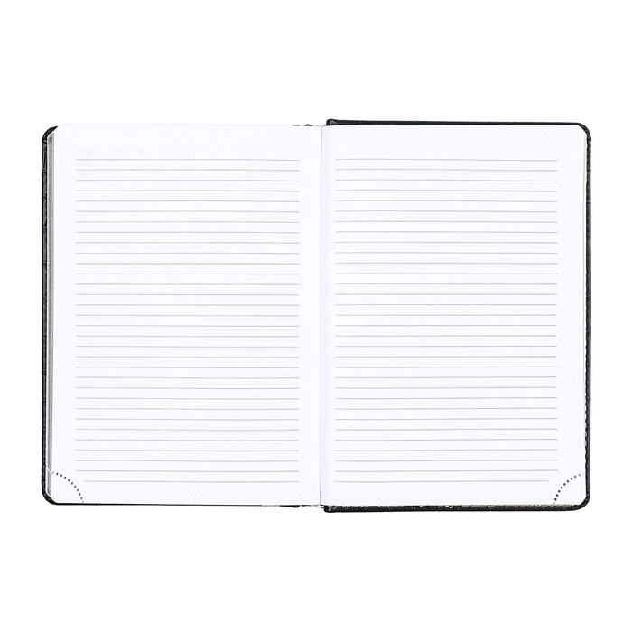 Ежедневник датированный 2025 года, deVENTE. Flag, B5 168 листов, deVENTE.Barbara, твердая обложка кожзам с поролоном, перфорация, ляссе, блок 70 г/м2, темно-синий Ежедневник датированный 2025 года, deVENTE. Flag, B5 168 листов, deVENTE.Barbara, твердая обложка кожзам с поролоном, перфорация, ляссе, блок 70 г/м2, темно-синий