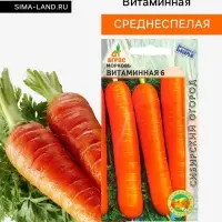 Семена Морковь &laquo;Витаминная 6&raquo;, 2 г, &laquo;Агросс&raquo;