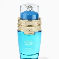 Парфюмерная вода мужская Le Chameau ARABIA HEROES, 25 мл (по мотивам Eros Versace)