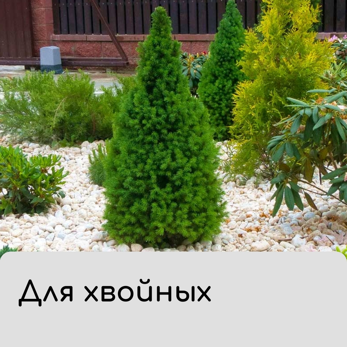 Чехол для растений, конус на завязках, 250 × 160 см, спанбонд с УФ-стабилизатором, плотность 60 г/м², МИКС Чехол для растений, конус на завязках, 250 × 160 см, спанбонд с УФ-стабилизатором, плотность 60 г/м², МИКС