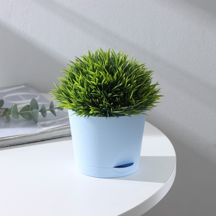 Горшок для цветов с прикорневым поливом «Альянс», 0,4 л, d=10 см, h=8,5 см, голубой Горшок для цветов с прикорневым поливом «Альянс», 0,4 л, d=10 см, h=8,5 см, голубой