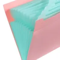 Папка А4 Haze, 12 отделений, 600 мкм, на кнопке, розовая