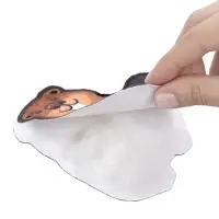 Игрушка мягкая. Брелок своими руками "Бобр"