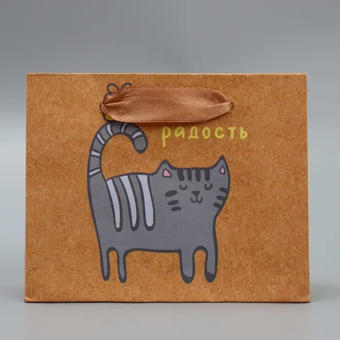 Пакет подарочный крафтовый, упаковка, «Несу радость», S 15 х 12 х 5.5 см Пакет подарочный крафтовый, упаковка, «Несу радость», S 15 х 12 х 5.5 см