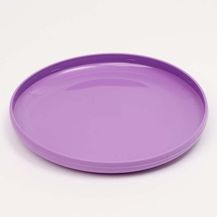 Летающая тарелка «Фрисби», 23 см, сиреневый Летающая тарелка «Фрисби», 23 см, сиреневый