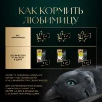 Влажный корм Sheba Natures для кошек, пауч, утка/яблочное рагу, 75 г Влажный корм Sheba Natures для кошек, пауч, утка/яблочное рагу, 75 г