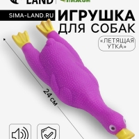 Игрушка пищащая "Летящая утка" для собак, 24 x 7 см, фиолетовая