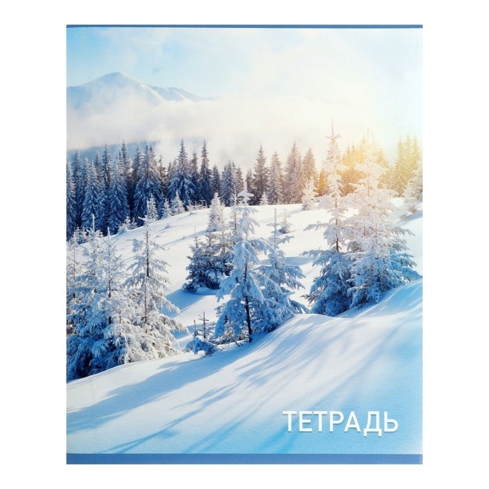 Комплект тетрадей из 4 штук, 96 листов в клетку Calligrata Комплект тетрадей из 4 штук, 96 листов в клетку Calligrata "Природа", обложка мелованный картон, блок №2, белизна 75% (серые листы)