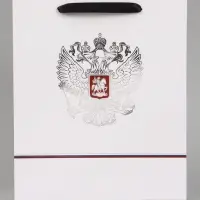 Пакет подарочный &laquo;Россия&raquo;, 25.5&times;30&times;9 см
