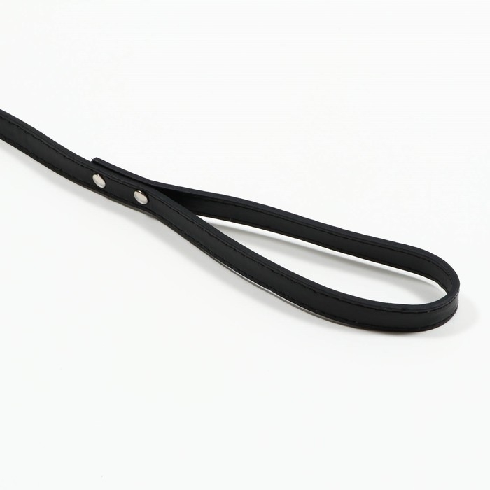 Поводок  Поводок "Основа" 120 х 1,5 см, чёрный
