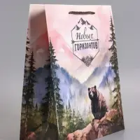 Пакет подарочный ламинированный &laquo;Северный характер&raquo;, 26&times;12&times;32 см