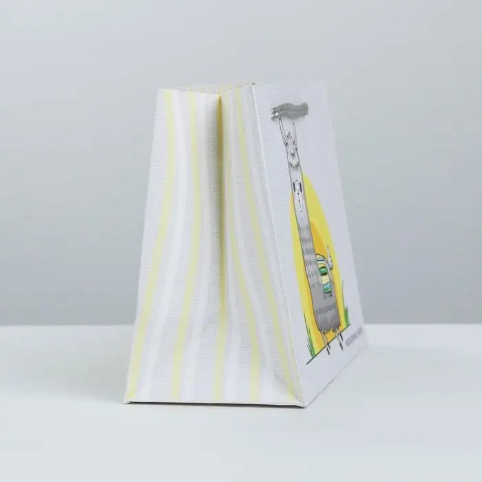 Пакет подарочный, упаковка, «Веселье», 19.5 х 14.5 х 8.5 см