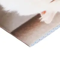 Набор блокнотов А6 40л кл на скобе Сладкий сон, мел карт, бл офс, 4В 20шт