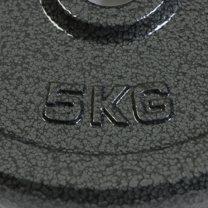 Диск  5  кг, d=29 мм Диск  5  кг, d=29 мм