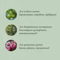 Кустодержатель, d=40 см, h=60 см, ножка d=0.3 см, металл, набор 2 шт., зелёный, Greengo