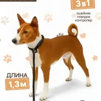 Ринговка для собак, 130&times;0.8 см, чёрная