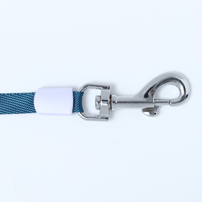 Рулетка с системой эффективного скручивания поводка, 3 м, до 15 кг, серо-синяя Рулетка с системой эффективного скручивания поводка, 3 м, до 15 кг, серо-синяя