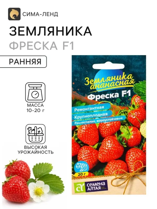 Семена Земляника &laquo;Фреска&raquo;, ремонтантная, 5 шт., &laquo;Семена Алтая&raquo;