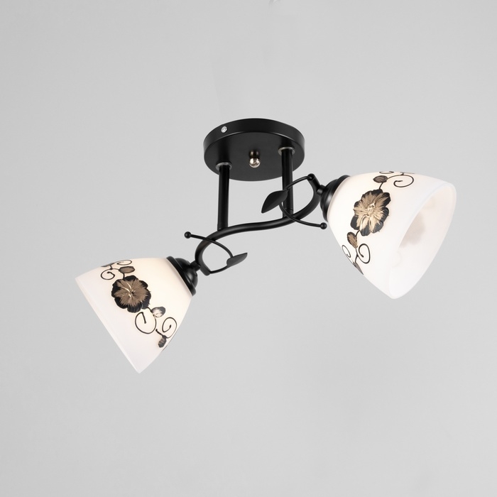 Люстра Люстра "Арья" 2хЕ27 40Вт черный 47х26 см