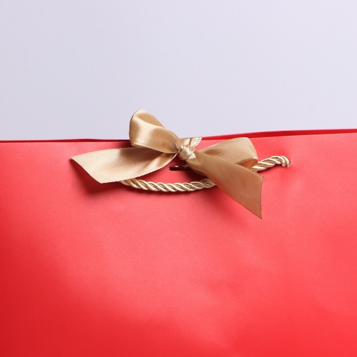 Пакет подарочный, упаковка, «Beautiful», 26 х 25 х 11 см Пакет подарочный, упаковка, «Beautiful», 26 х 25 х 11 см