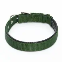 Ошейник &laquo;Комфорт&raquo; комбинированный (полиэстер, искусственная кожа), 55&times;2.5 см, ОШ 40-50 см, зелёный