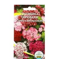 Семена цветов Гвоздика &laquo;Турецкая&raquo;, 0.1 г