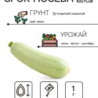 Семена Кабачок "Белоплодные", 1 г Семена Кабачок "Белоплодные", 1 г