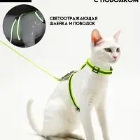 Комплект для кошек светоотражающий, ширина 1 см, шлейка 21-35 см, поводок 120 см, зелёный