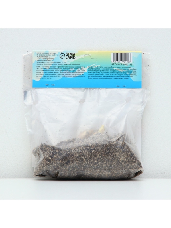 Лилия Азиатская Кашпо Trendy Havanna, луковица в пакете с перфорацией, р-р 12/14, 2 шт.