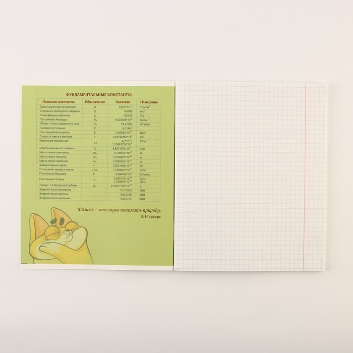 Набор тетрадей А5, 48 л "Персонажи" биология, физика, химия